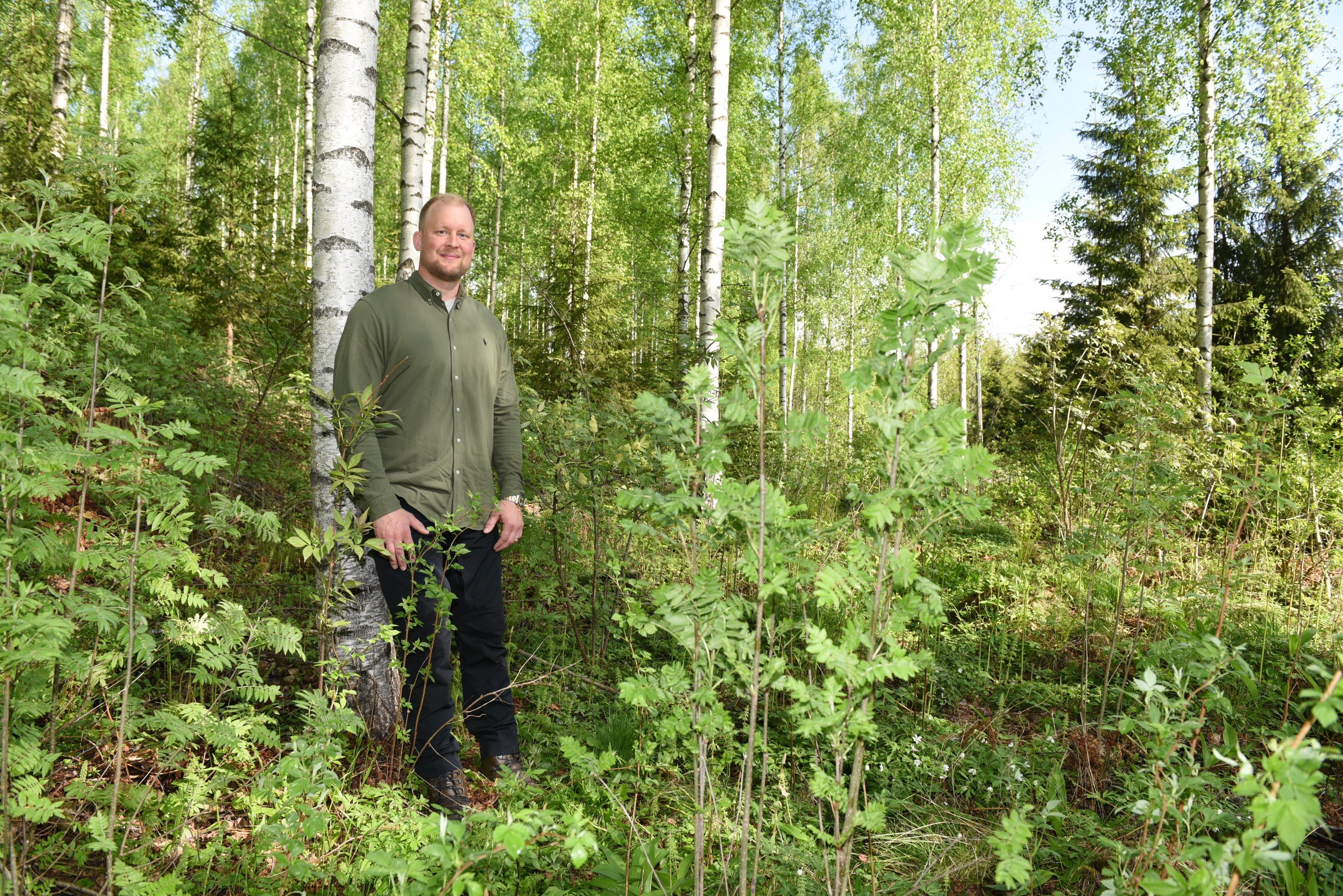 Heikki Soverin metsäura alkoi 18-vuotiaana tästä koivikosta
