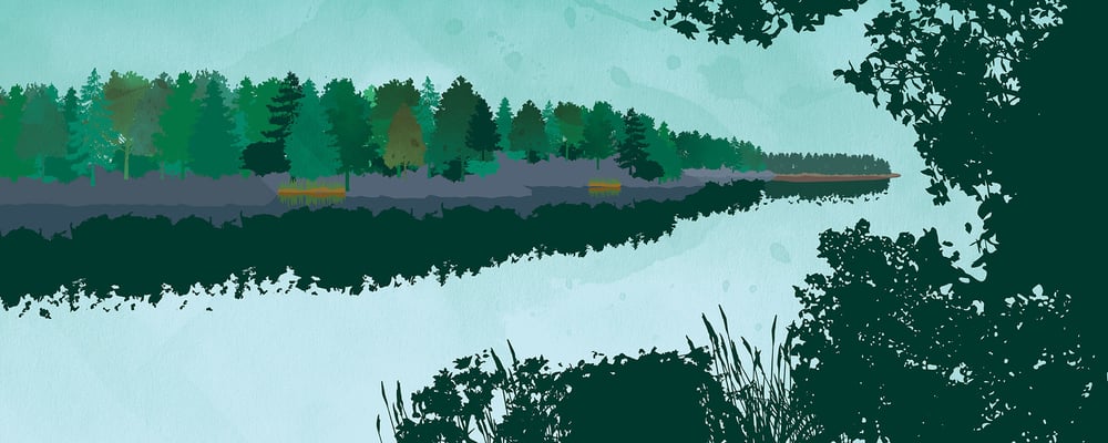 Tausta_merenranta2000x800