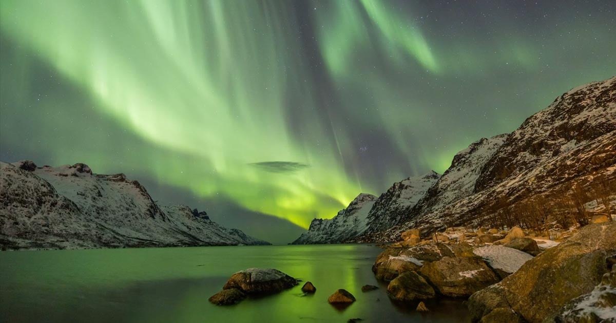 Kala-Lappi syntyi halusta tehdä kalatuotteita erottuvalla tavalla