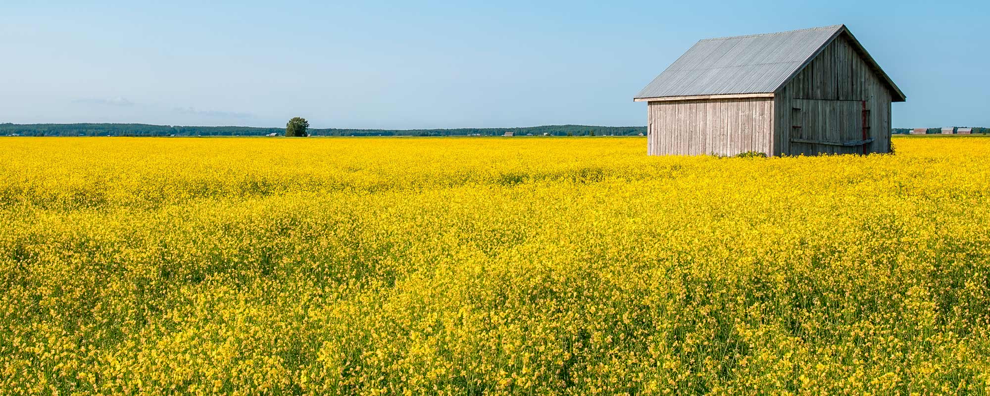 Realistisia maa- ja metsätalouden laskelmia
