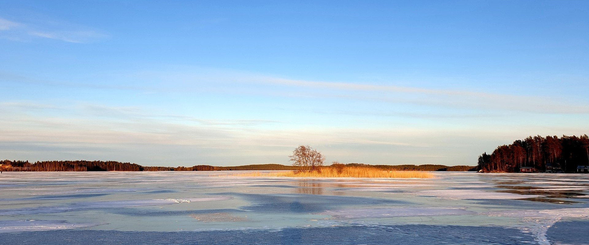 jää