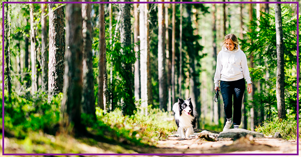 Talletustarjous-verkkosivut,-ei-tekstiä-1200x628-FINAL pienennetty