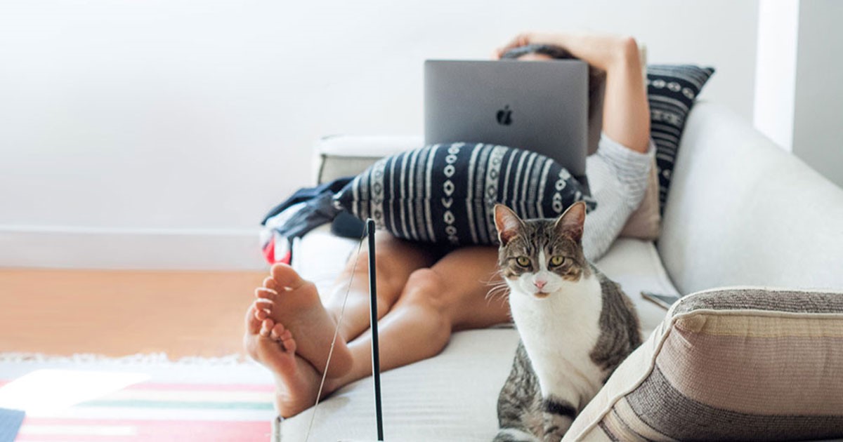 Mies ja kissa sohvalla verkkohetkessä, kuvituskuva.